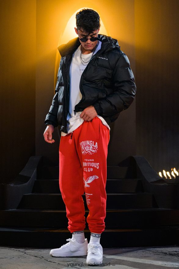 kleding nl YoungLA Heren 233 de onsterfelijke joggers vallen 22\" pruim perfect ZV0RH4851