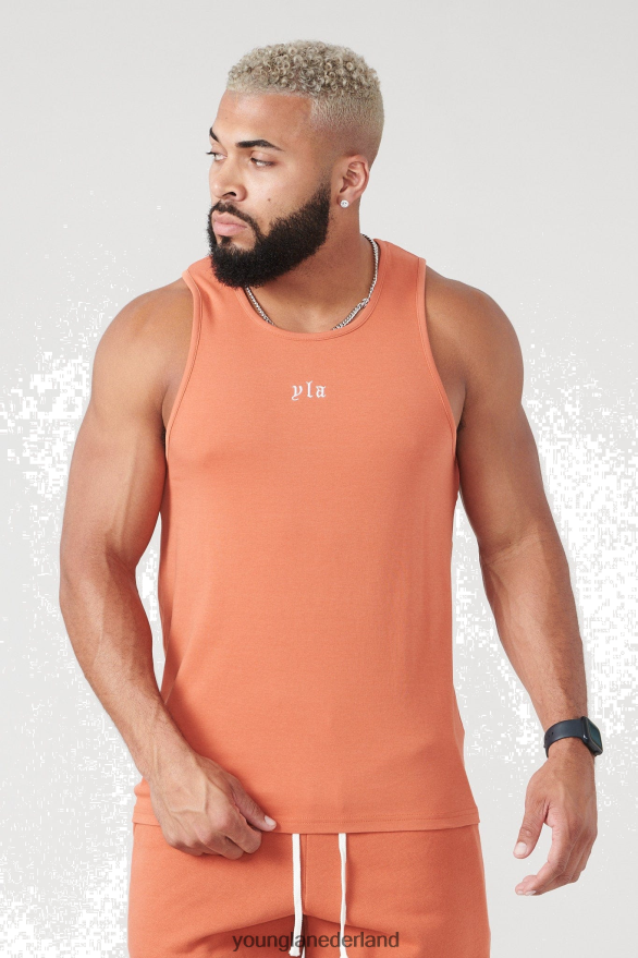 roestige oranje wassing